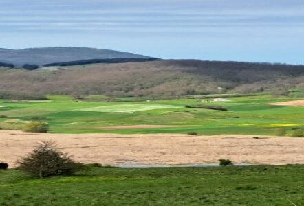 21 Maggio 2023 Parco Regionale di Colfiorito: GIORNATA DELLA BIODIVERSITA’