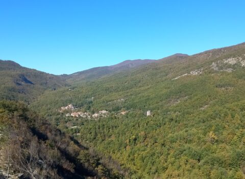 “Foliage a Montecasale”: Montecasale – Passo delle Vacche – Pischiano (E)